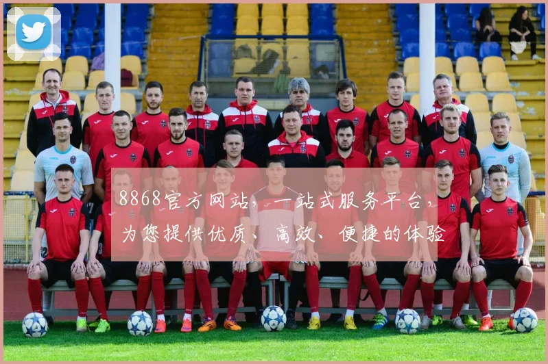 8868官方网站，一站式服务平台，为您提供优质、高效、便捷的体验，值得信赖