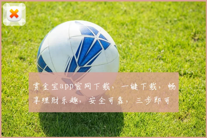 赏金宝app官网下载，一键下载，畅享理财乐趣，安全可靠，三步即可完成，不容错过