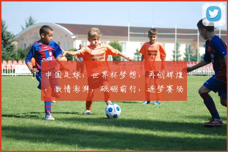 中国足球，世界杯梦想，再创辉煌，激情澎湃，砥砺前行，逐梦赛场，砥砺前行