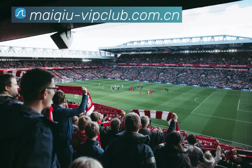 APP界面展示